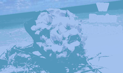 Bukiet na brzegu 8 marca